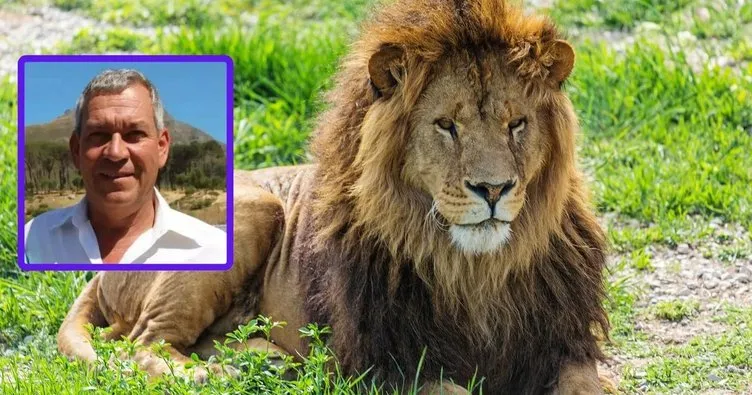 İşadamını aslan yedi