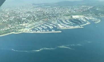 Kâbus geri mi döndü? Marmara’da tekrar müsilaj görülecek mi?