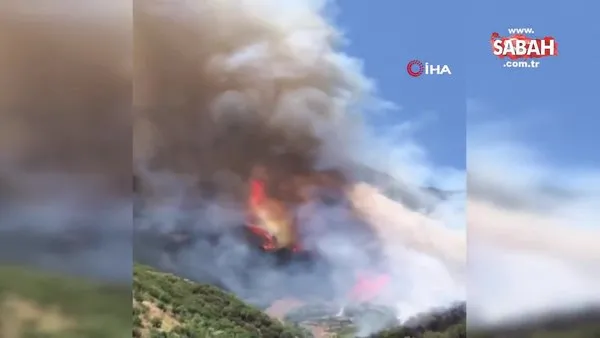 İzmir ve Manisa'da 8 ayda 455 yangın çıktı | Video