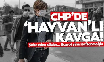 Son dakika... CHP’li Canan Kaftancıoğlu işbaşında! Eleştiriye ’HAYVAN’lı cevap!