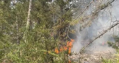 Bolu'nun Mudurnu ilçesindeki orman yangını kontrol altına alındı #bolu
