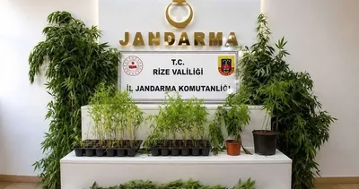 Rize'de 77 aranan şahıs yakalandı #rize