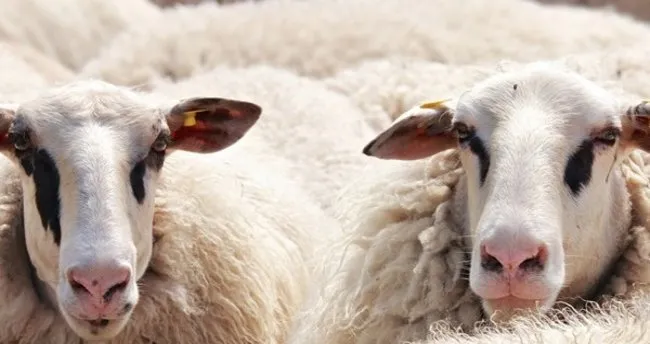 hangi durumlarda adak kabul olmaz