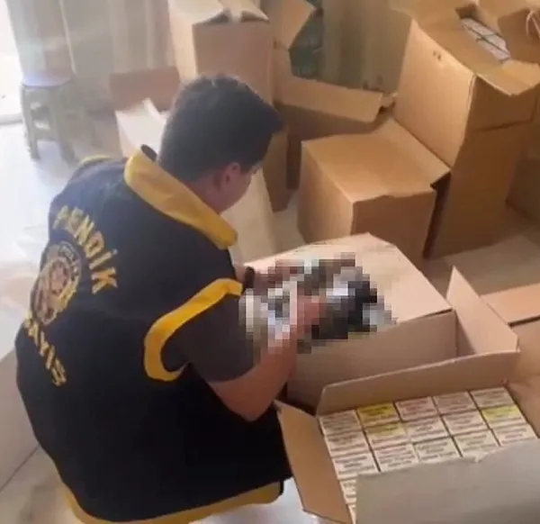 pendikte-kacak-tutun-operasyonu-kilolarca-tutun-ele-gecirildi-1786612045933.jpeg