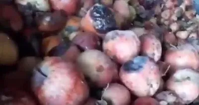 Görüntüler olay yaratmıştı! Bakanlıktan çürük elma videosuna inceleme | Video