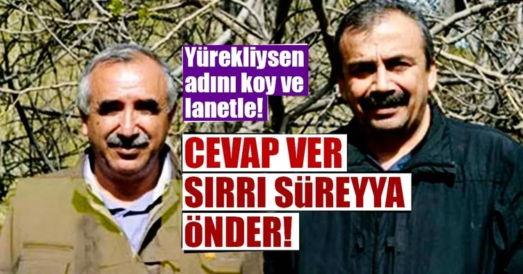 Cevap ver Sırrı Süreyya Önder!