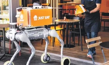 Robot köpekler teslimata başladı