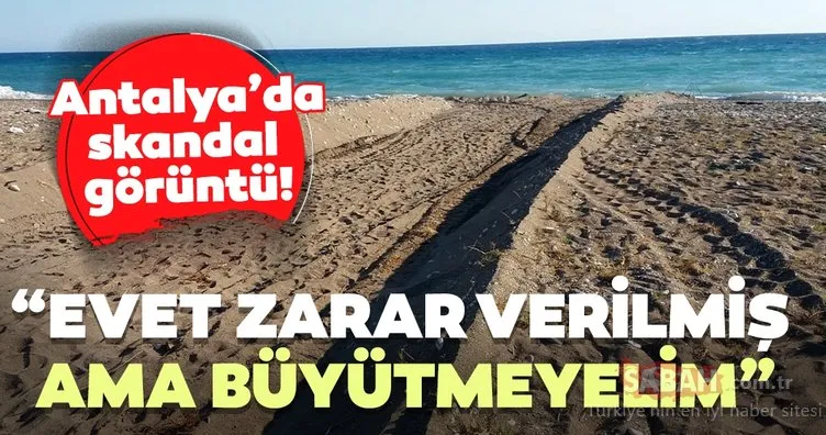Antalya’da skandal görüntü! Sahilde çalışma yapılan iş makinesi kaplumbağa yuvalarını dağıttı