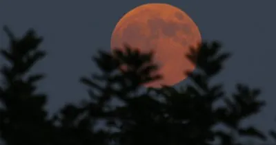 Ay ve Güneş Tutulması hakkındaki çılgın iddia