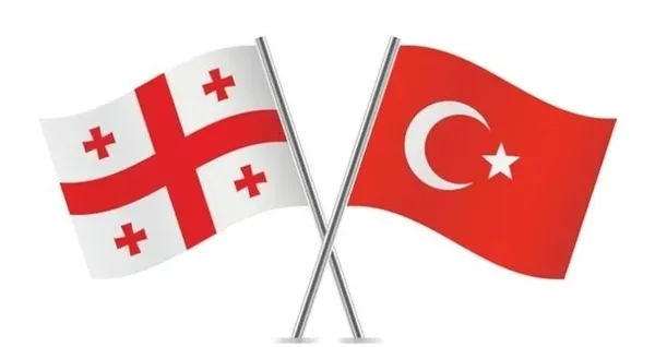 gurcistan-artik-suclularin-siginagi-degil-kimlikle-girilebilen-gurcistan-suclular-icin-guvenilir-bir-lokasyon-1793274371986.jpg