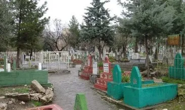 Moğolları ilk kez durduran Harzemşah’ın mezarı, Silvan’daymış