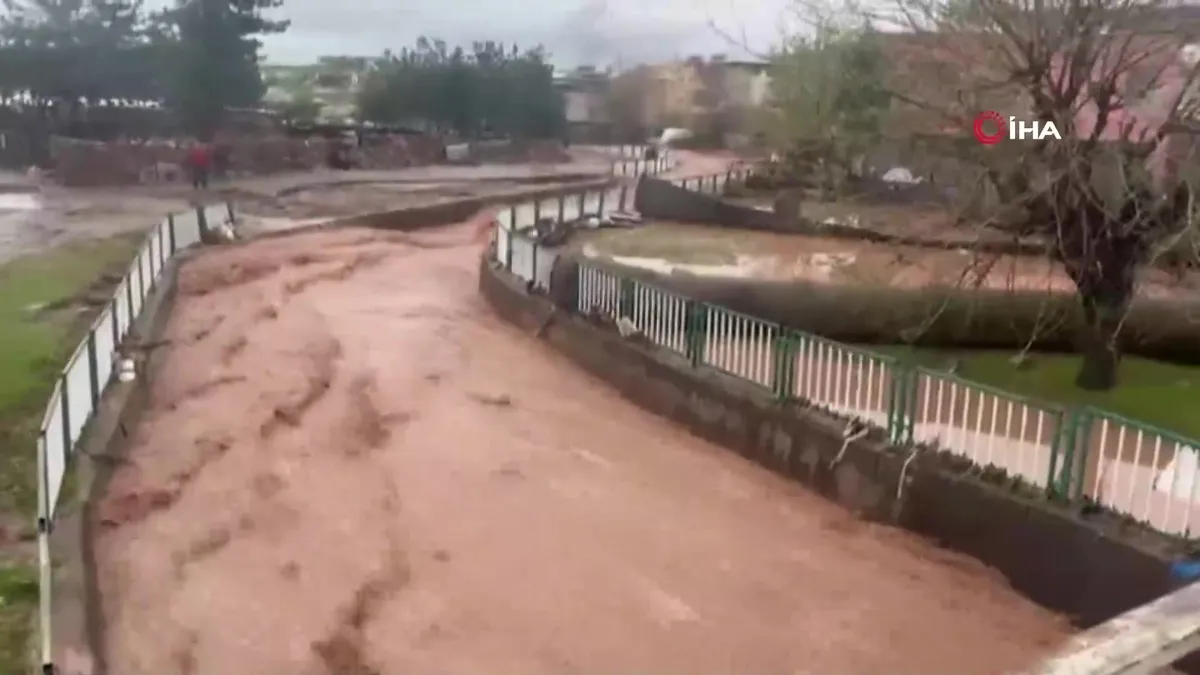 Siirt’te yağış sele dönüştü, ev ve iş yerlerini su bastı | Video videosunu izle Siirt’te yağış sele dönüştü, ev ve iş yerlerini su bastı | Video videosunu izle