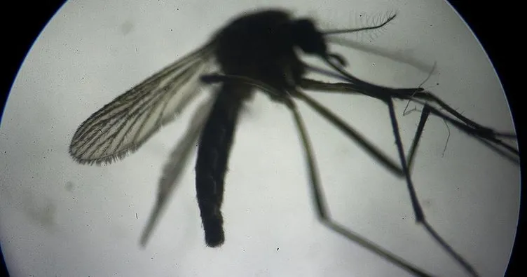 Çinli bilim insanları, sivrisineklere karşı askeri radar teknolojisi kullanacak