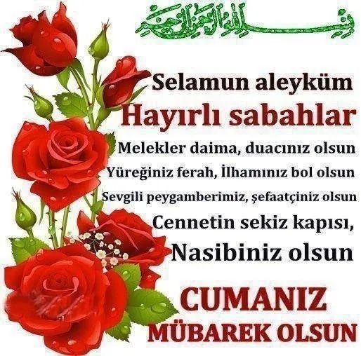 İlgili resim
