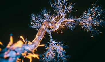 Alzheimer araştırmalarında ezber bozan keşif! Bilim insanları yeni hedefi buldu