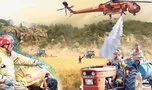 Alevlere karşı omuz omuza