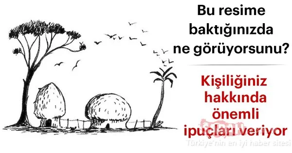 Resime baktığınızda ilk ne görüyorsunuz? Kişiliğiniz hakkında önemli ipuçları veriyor