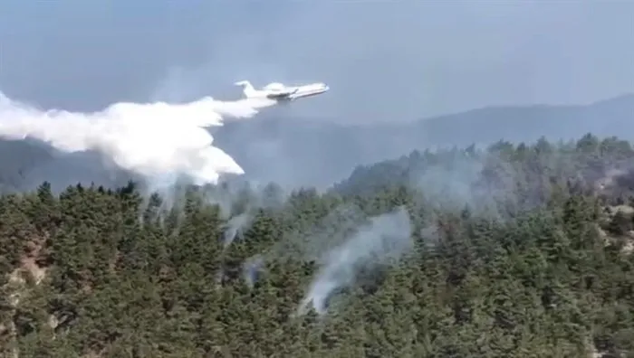 Sinop’taki orman yangınına havadan müdahale ediliyor