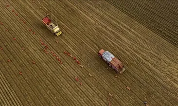 Tarım ÜFE martta yüzde 3.85 arttı