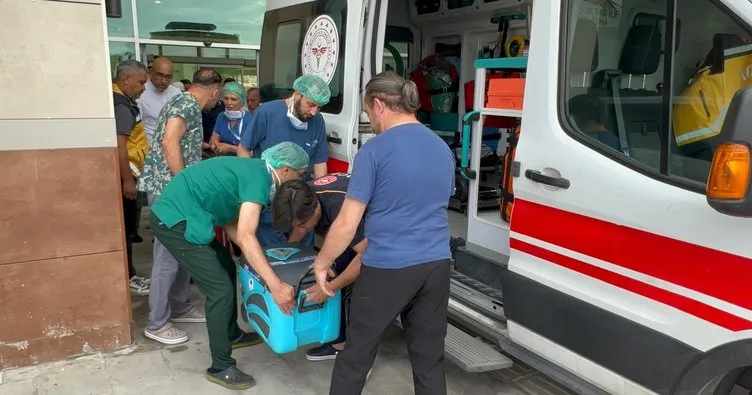 Ahmet’in organları 5 hastaya umut oldu