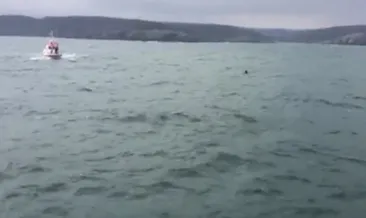 Son Dakika Haberi | Sarıyer-Garipçe açıklarında ikinci mayının belirlendiği öne sürülmüştü! O iddialar yalanlandı