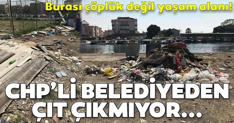 Son dakika: Çanakkale çöplüğe döndü! CHP’li belediyeden çıt çıkmıyor...