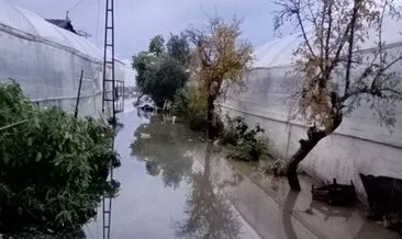 Antalya’da yağmur: Seralar sular altında kaldı #antalya