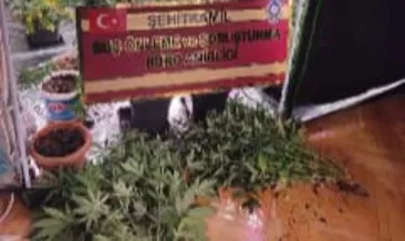 Yer: Gaziantep! Eve esrar serası kurmuşlar