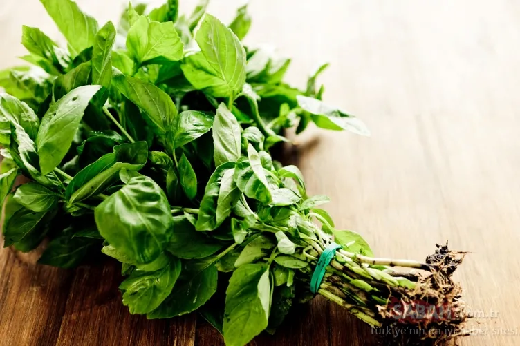 Ãnlü Åef Gordon Ramsayâden 12 mutfak sırrı!