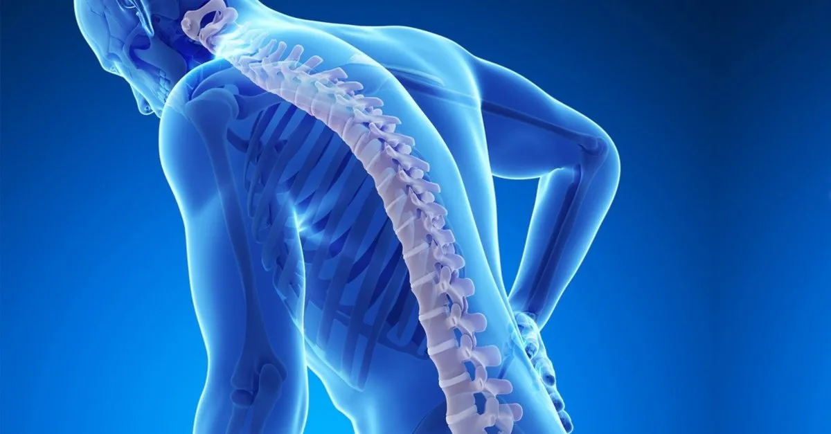 kemik erimesi belirtileri nelerdir