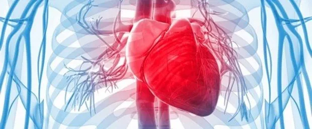 Kalp Krizi Belirtileri Nelerdir Kalp Krizi Nedenleri Saglik Haberleri