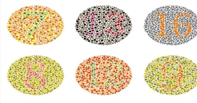 Renk Körleri Nasıl Görür? Renk Körlüğünde Kırmızı, Pembe, Sarı, Yeşil Ne Renk Görünür?