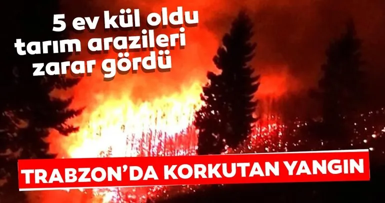Karadeniz’de 26 noktada orman yangını: 5 ev kül oldu, tarım arazileri zarar gördü