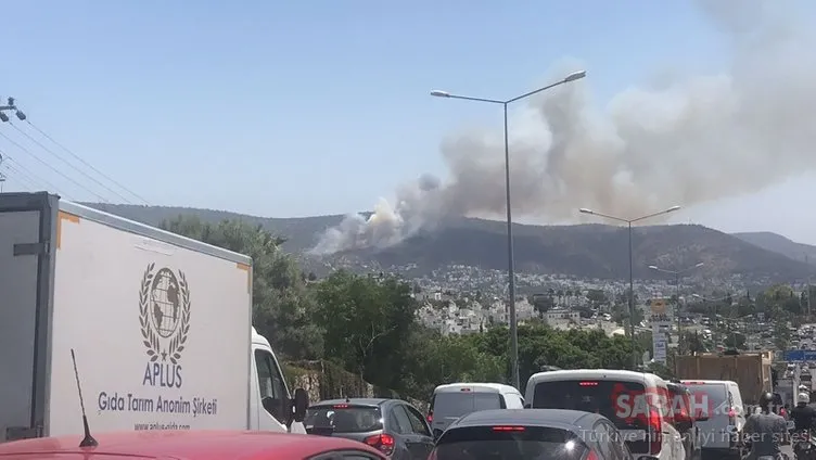 Son dakika haberler | Bodrum’da yangın! Otel ve evler boşaltıldı