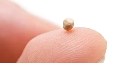 Metabolizma canavarı! İşte metabolizmayı canlandırıp vücutta yağ bırakmayan gıdalar...