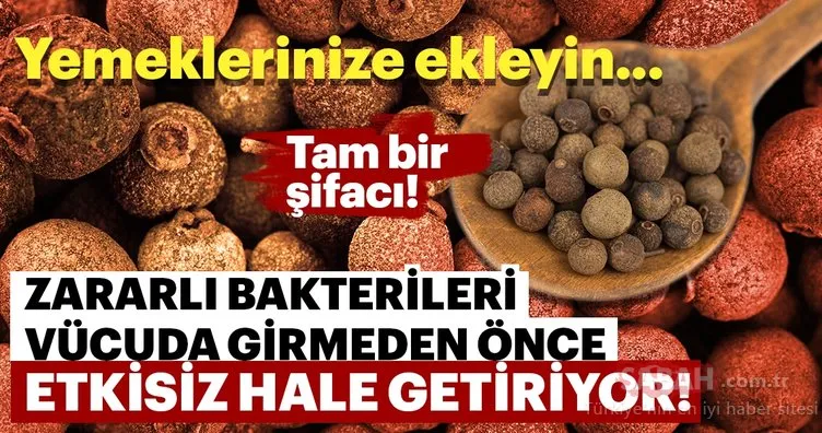 Yemeklerinize ekleyin... Zararlı bakterileri vücuda girmeden önce etkisiz hale getiriyor!