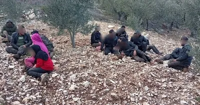 Hatay’da 30 düzensiz göçmen yakalandı