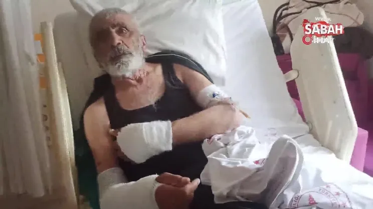 Ayı saldırısından komşularının ayıyı öldürmesi ile kurtulan yaşlı adam o anları anlattı