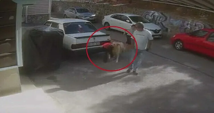 İzmir’de başıboş köpek dehşeti: 6 yaşındaki Baran ölümden döndü!