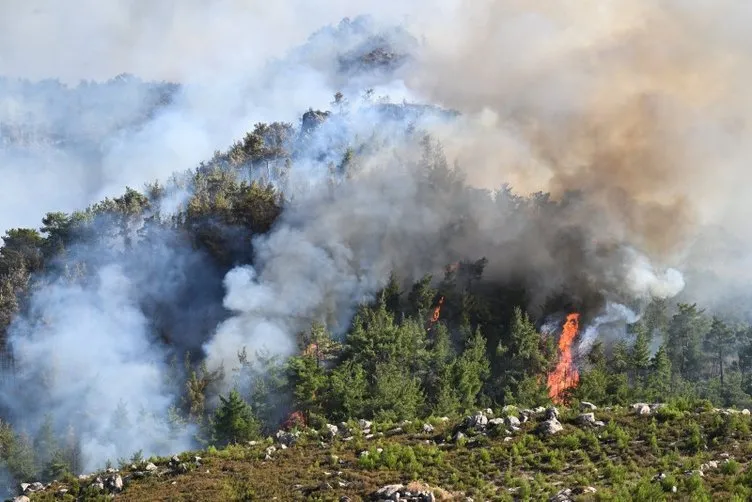 SON DAKİKA! İzmir ve Bolu’da orman yangını: Alevlere havadan ve karadan müdahale!