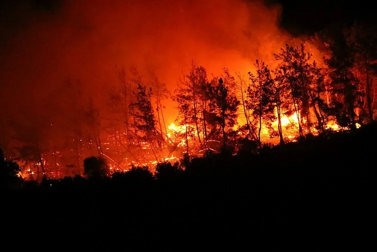 Yangınlarda son durum: Bakan Pakdemirli’den önemli açıklamalar