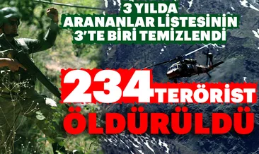 234 terörist öldürüldü! 3 yılda arananlar listesinin 3’te biri temizlendi
