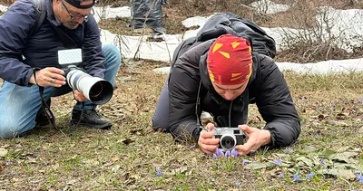 Dünyada sadece Türkiye’nin o noktasında yetişiyor! Kartepe’nin saklı mücevheri gün yüzüne çıktı...