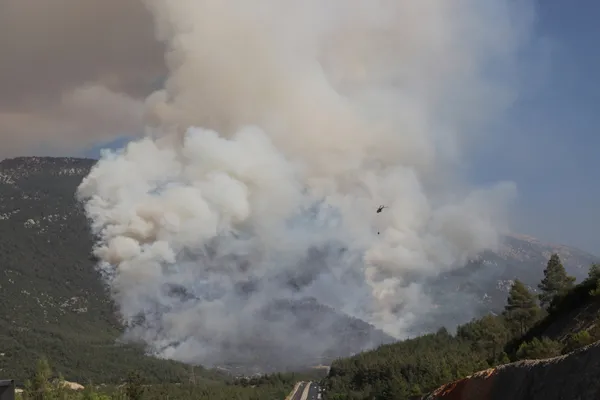 Denizli Orman Yangını