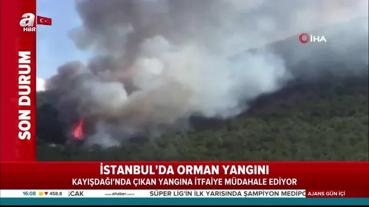 Son dakika haberi | İstanbul'da orman yangını | Video