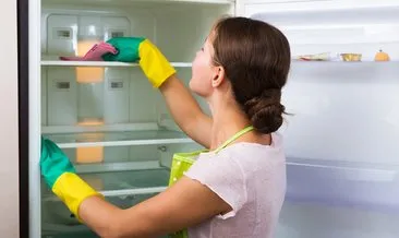 Buzdolabınızı tek harekette tertemiz yapıyor! En doğal temizlik yöntemi...