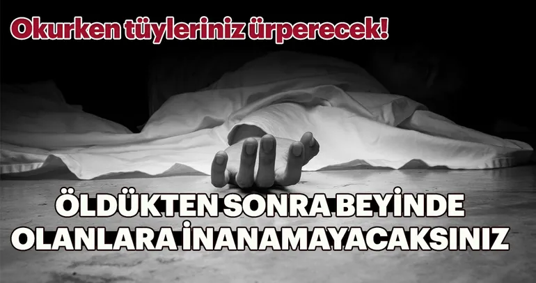 Öldükten sonra beyinde neler olur?