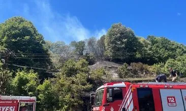 Son dakika: Beykoz’daki orman yangını kısa sürede söndürüldü