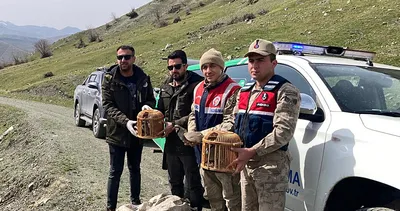 Keklik avladılar! Cezası dudak uçuklattı