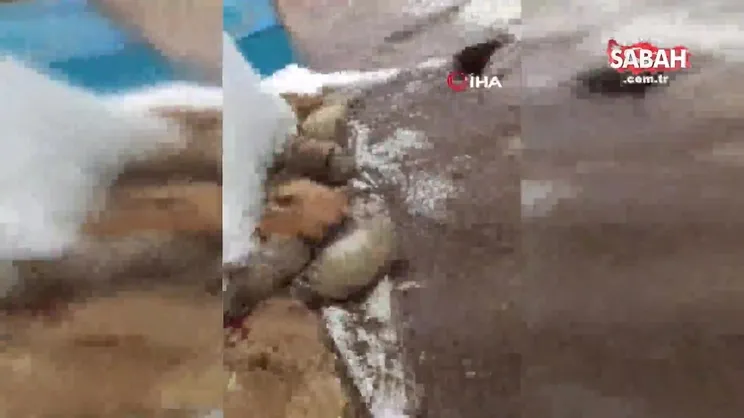 Diyarbakır’da sağanak yağış sonrası dolu etkisini gösterdi | Video